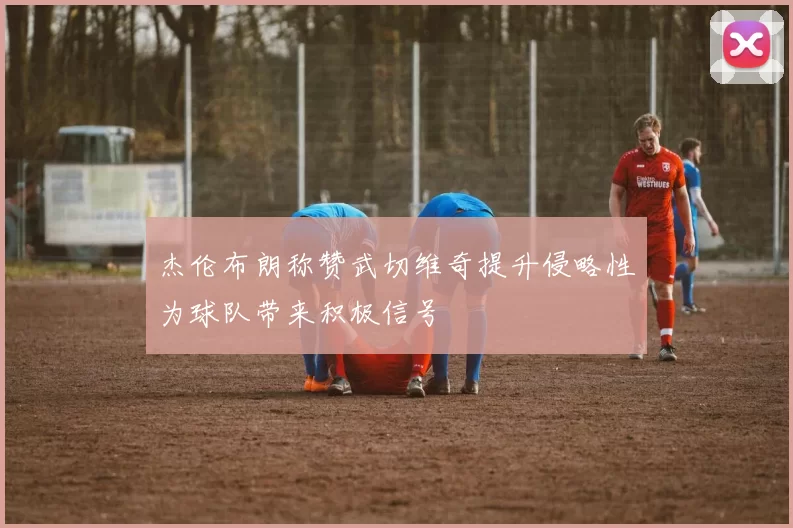 杰伦布朗称赞武切维奇提升侵略性为球队带来积极信号