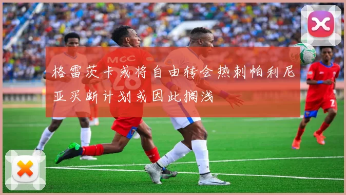 格雷茨卡或将自由转会热刺帕利尼亚买断计划或因此搁浅