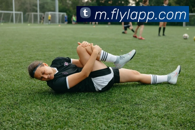 富联娱乐APP全站App